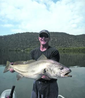 A live herring was the undoing of this impressive mulloway.
